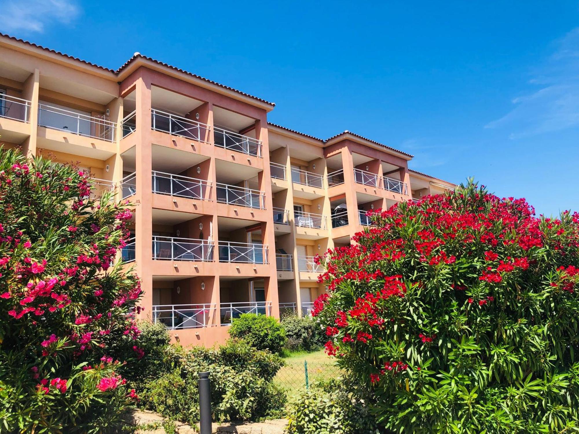 Superbe T2 Vue Mer - Piscine & Plage A 100M Ajaccio  Dış mekan fotoğraf