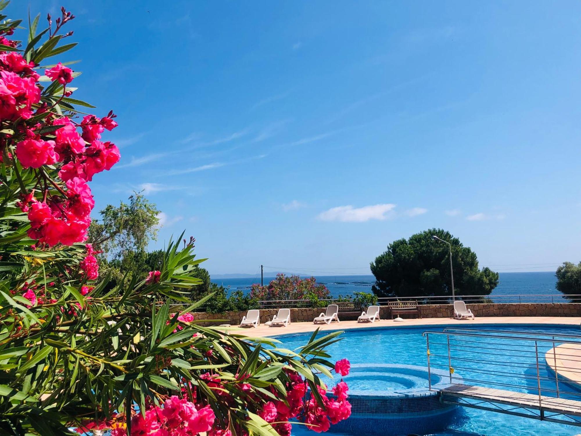 Superbe T2 Vue Mer - Piscine & Plage A 100M Ajaccio  Dış mekan fotoğraf