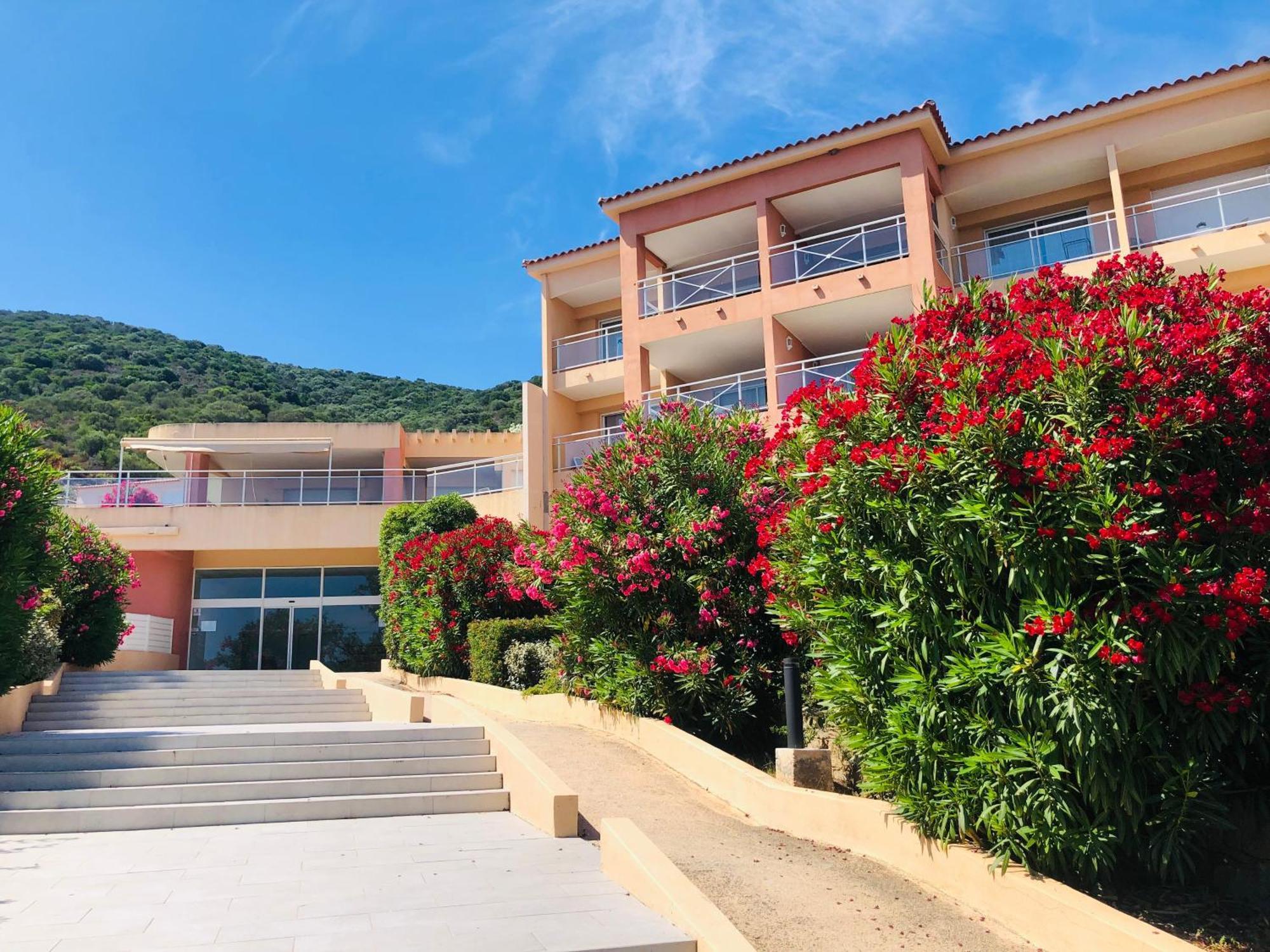 Superbe T2 Vue Mer - Piscine & Plage A 100M Ajaccio  Dış mekan fotoğraf